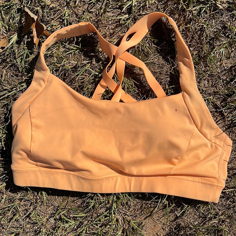 JCPenney sports bra